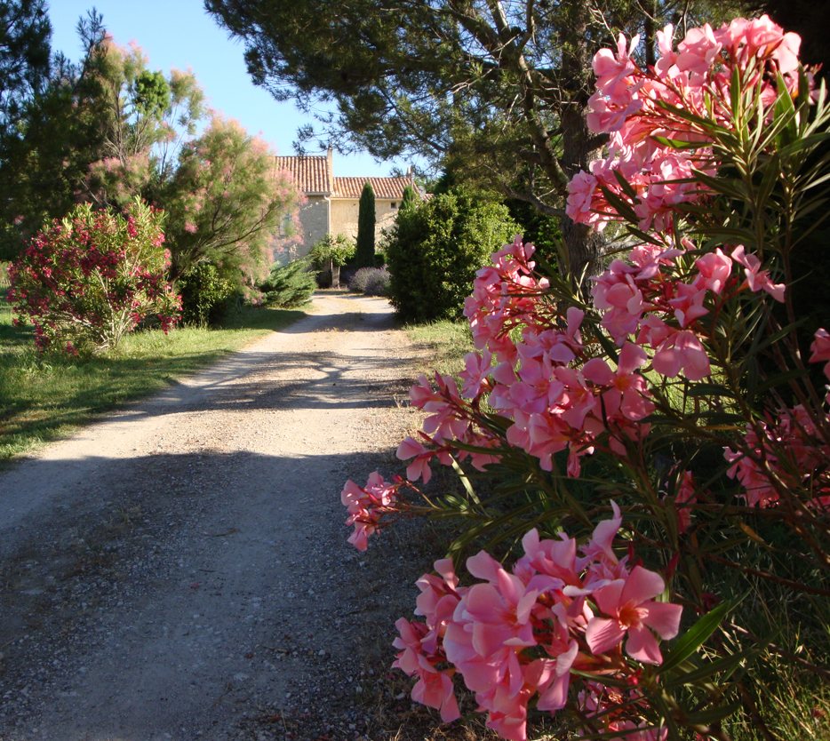 Domaine de la Royère